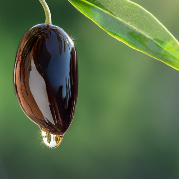 olio extravergine di oliva era